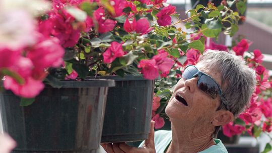 Green Thumbs & Wannabes