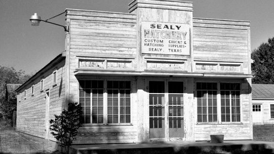 The Sealy Hatchery