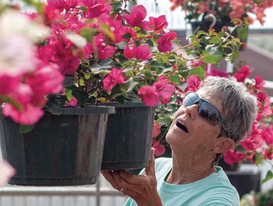 Green Thumbs & Wannabes