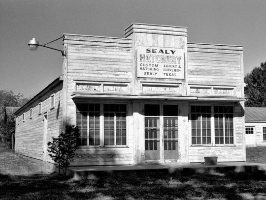 The Sealy Hatchery