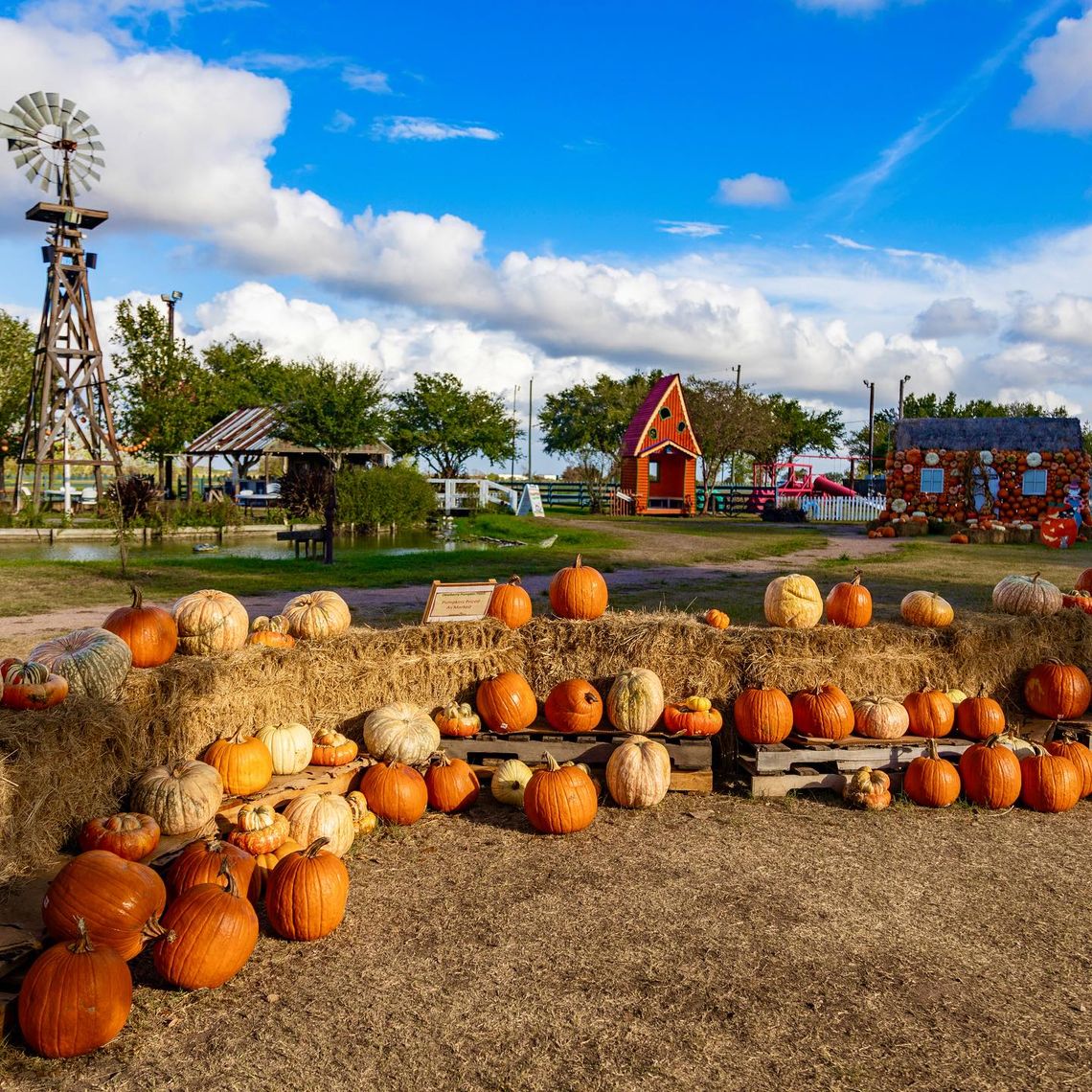 It’s the most wonderful time of the year!
