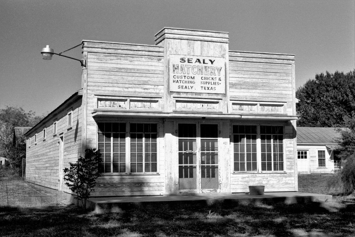 The Sealy Hatchery